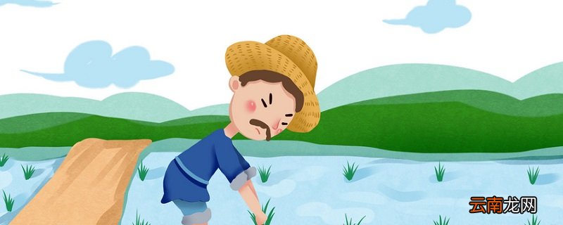 悯农一表达了作者怎样的思想感情 悯农一表达了的思想感情