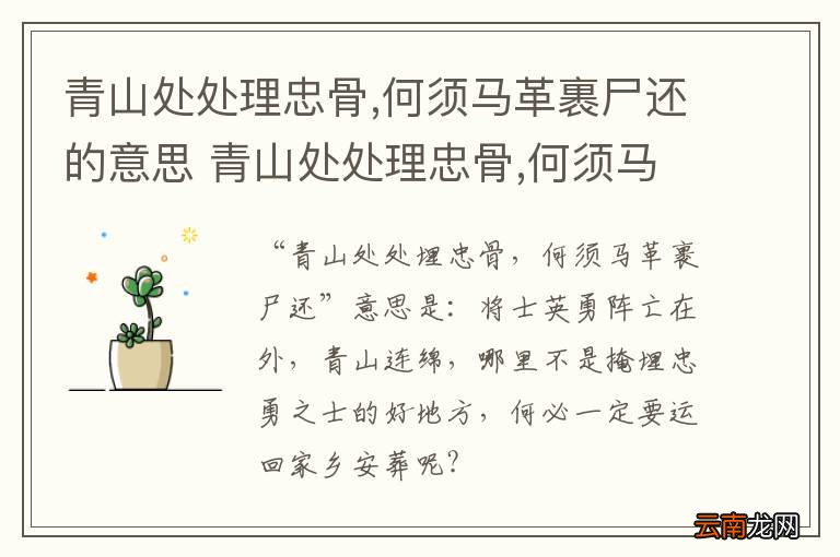 青山处处理忠骨,何须马革裹尸还的意思 青山处处理忠骨,何须马革裹尸还的翻译