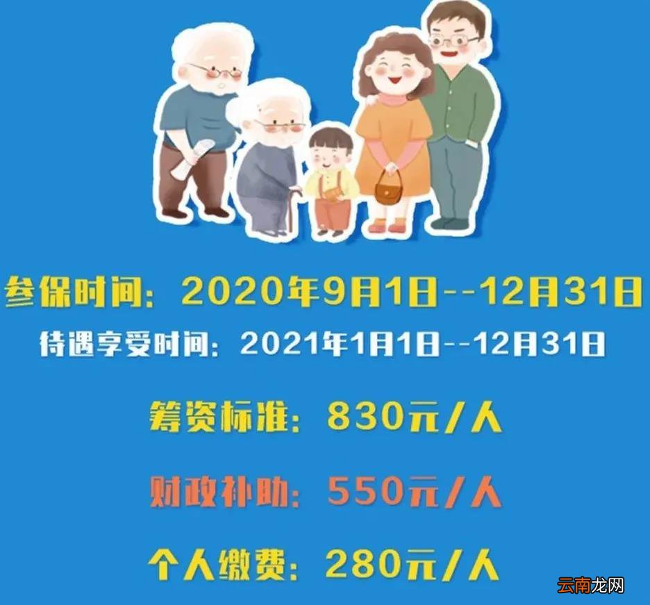 合肥个人城乡居民医保费用是多少?