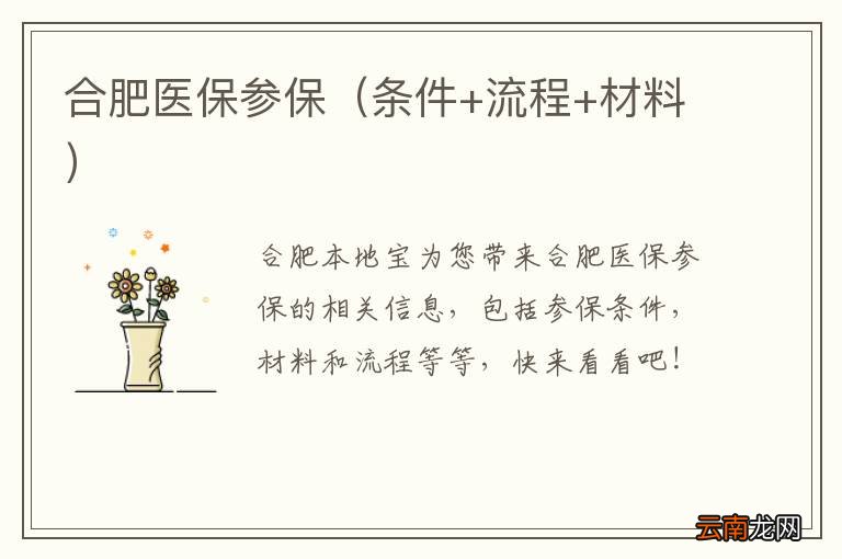 条件+流程+材料 合肥医保参保