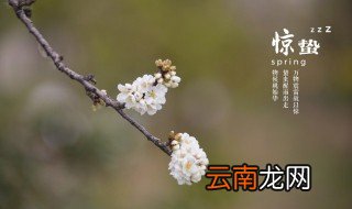 惊蛰节气养生原则 惊蛰节气养生原则有什么