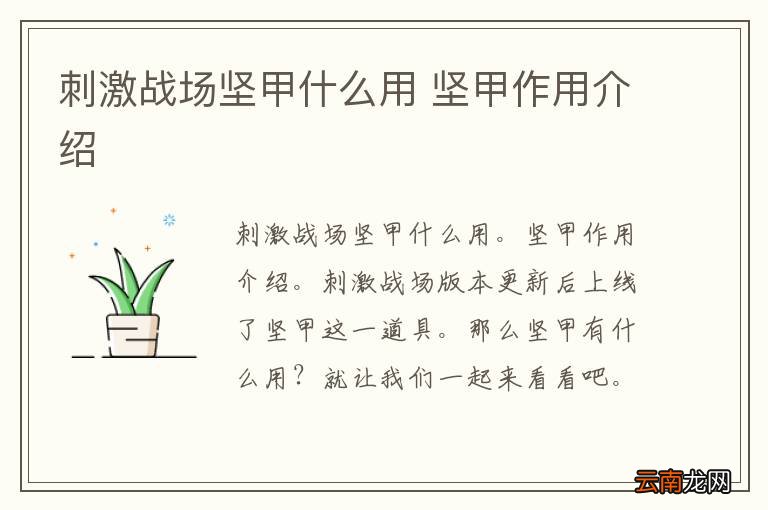 刺激战场坚甲什么用 坚甲作用介绍