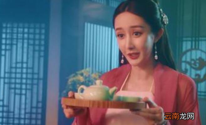 双面狐什么意思