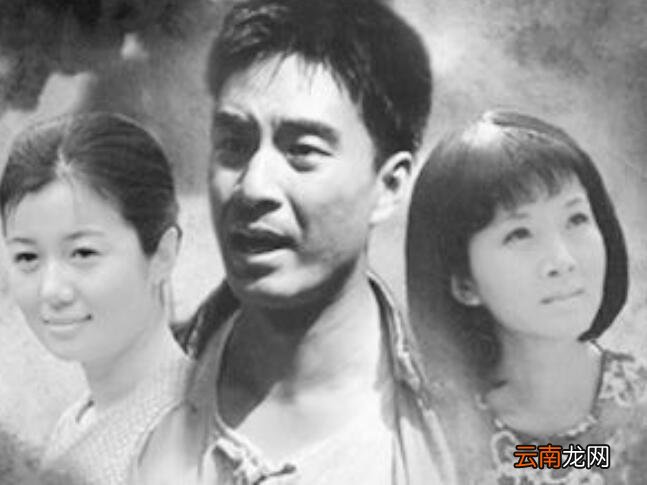 兔子喂了吗水娥是什么电视剧