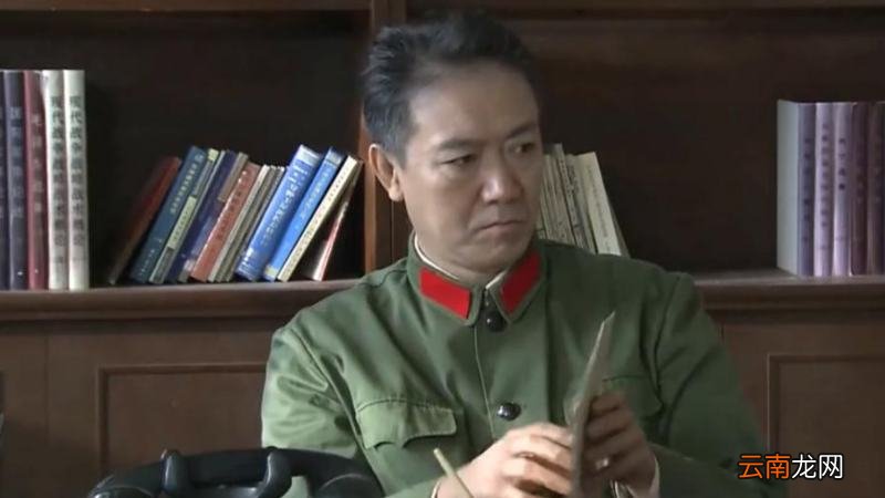 李幼斌演的韦司令是什么电视剧