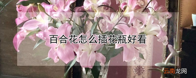 百合花怎么插花瓶好看