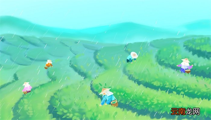 谷雨是第几个节气 谷雨在二十四节气中是第几个节气