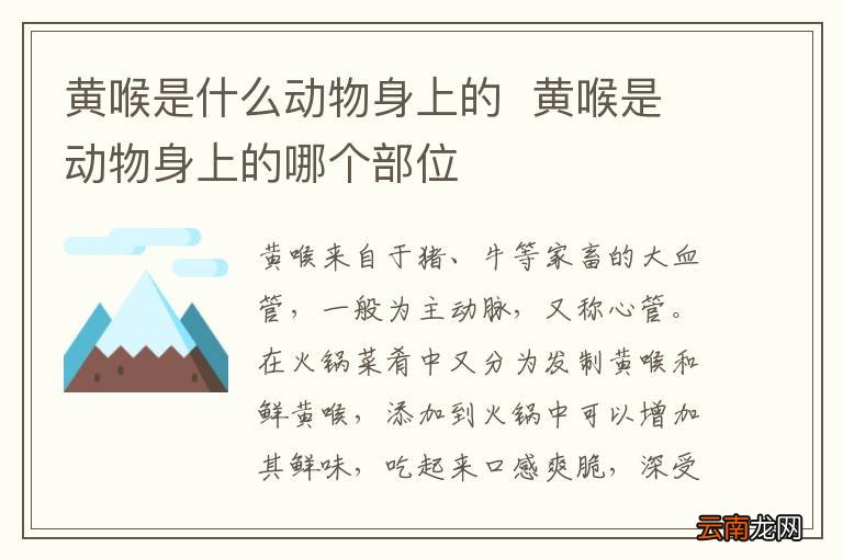 黄喉是什么动物身上的黄喉是动物身上的哪个部位
