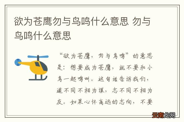 欲为苍鹰勿与鸟鸣什么意思 勿与鸟鸣什么意思