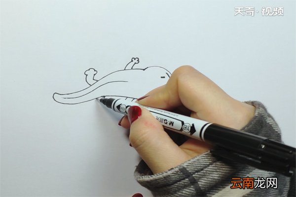 娃娃鱼的画法