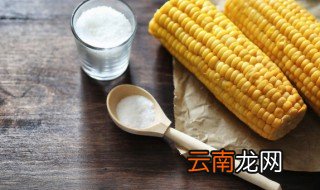玉米怎么煮水最好吃 怎么煮玉米好吃又营养的做法