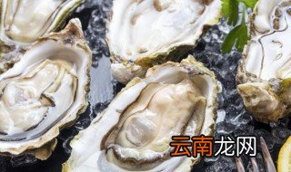 生蚝保存技巧 生蚝保存技巧有哪些