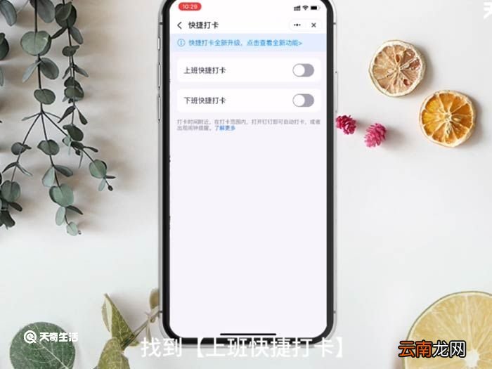 钉钉怎么自动打卡怎么设置 钉钉怎么自动打卡怎么设置位置