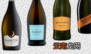 起泡酒和酒的区别 起泡酒和酒有什么区别