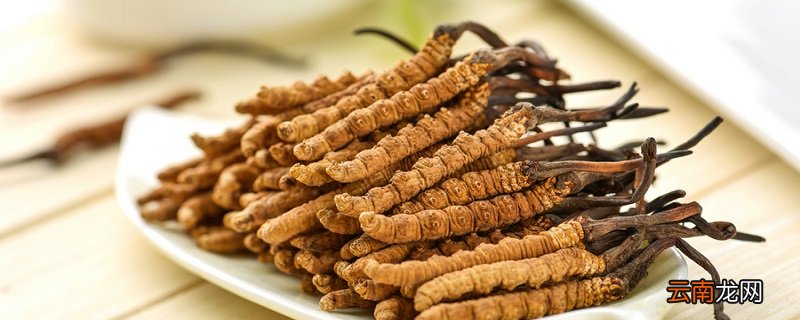 虫草可以用100℃水泡吗 虫草能用100℃水泡吗