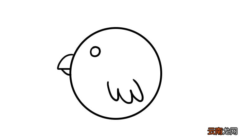 圆形鸟简笔画
