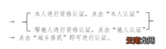 合肥城乡居民基本养老保险网上办理流程