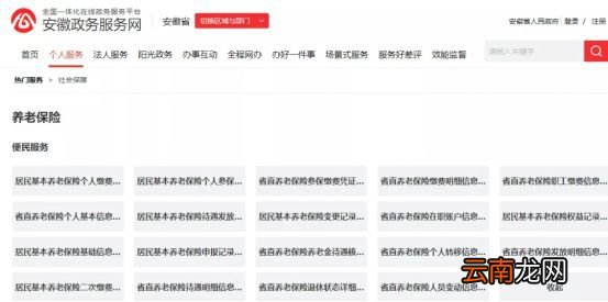 合肥城乡居民基本养老保险网上办理流程
