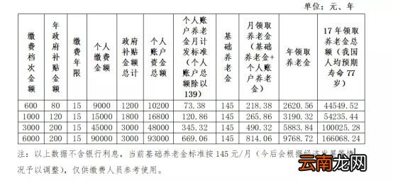 合肥城乡居民基本养老保险网上办理流程