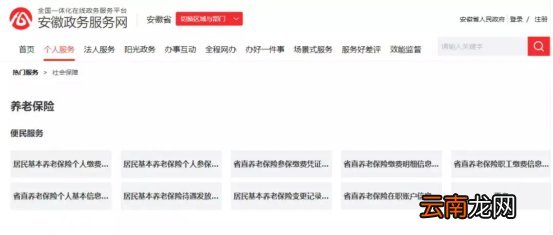 合肥城乡居民基本养老保险网上办理流程