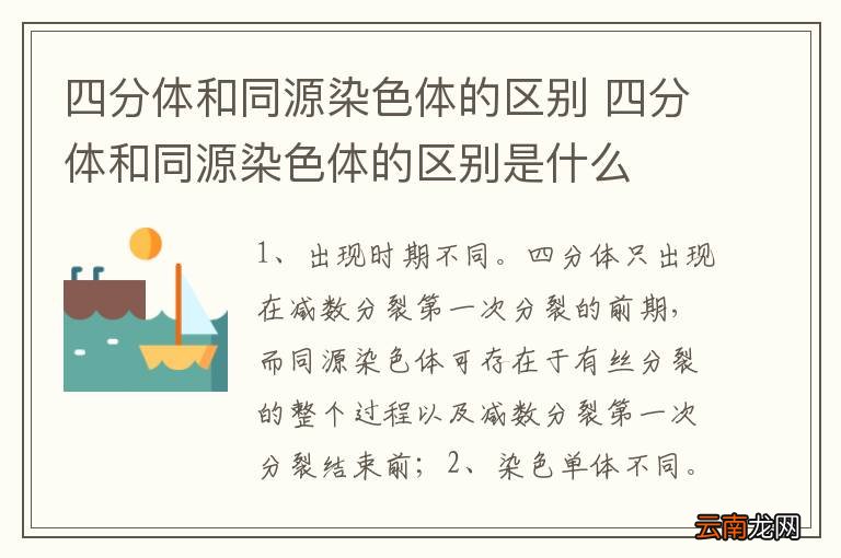 四分体和同源染色体的区别 四分体和同源染色体的区别是什么