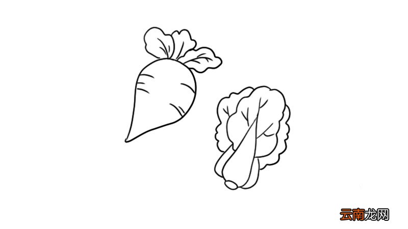 蔬菜简笔画 蔬菜简笔画怎么画