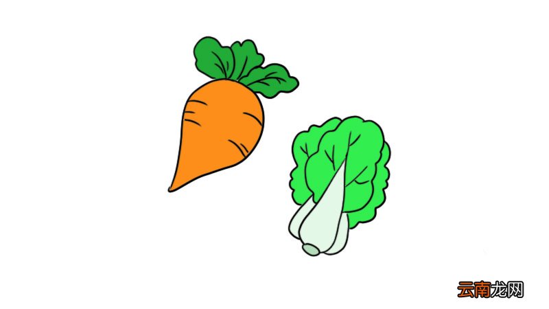 蔬菜简笔画 蔬菜简笔画怎么画