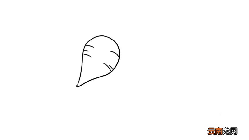 蔬菜简笔画 蔬菜简笔画怎么画