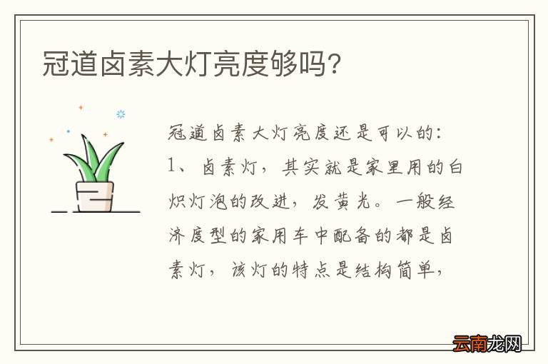 冠道卤素大灯亮度够吗?