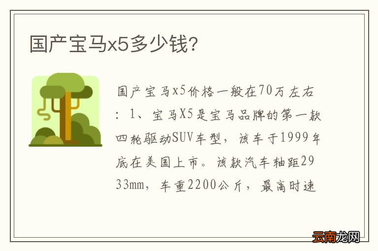 国产宝马x5多少钱?