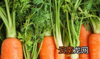 红萝卜腊肠饭如何做 红萝卜腊肠饭的做法