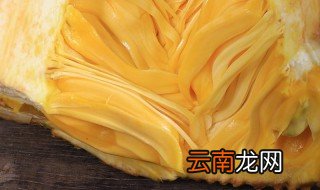 新鲜菠萝蜜肉怎么保存 菠萝蜜的肉怎样存储
