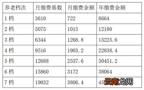 呼和浩特养老保险缴费基数