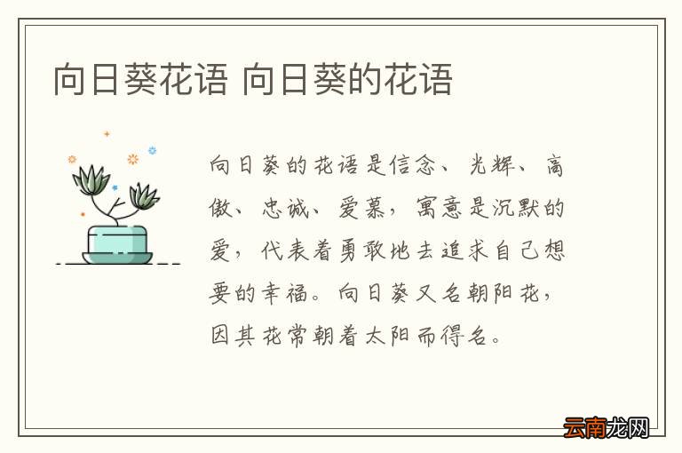 向日葵花语 向日葵的花语