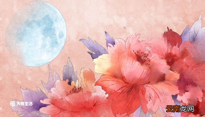 露从今夜白的下一句 露从今夜白的下一句是什么作者是谁