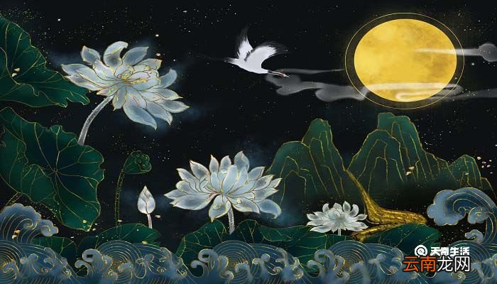 露从今夜白的下一句 露从今夜白的下一句是什么作者是谁