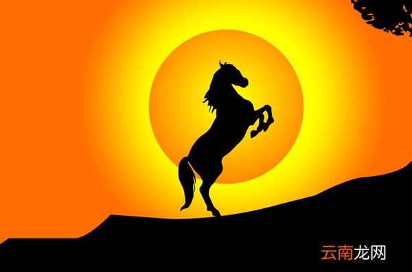 房兵曹胡马赏析 房兵曹胡马杜甫赏析