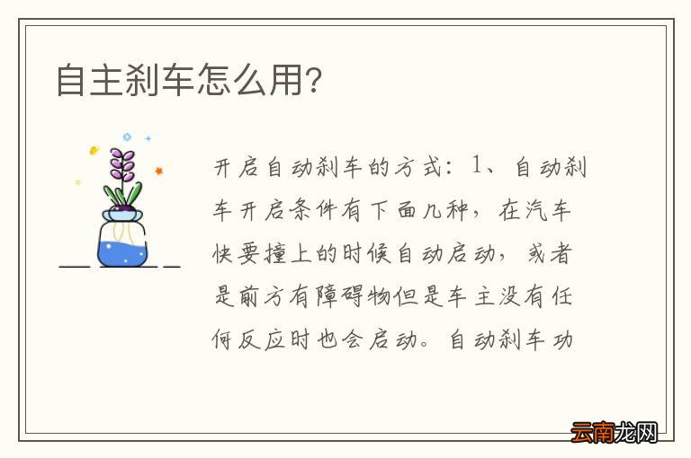 自主刹车怎么用?