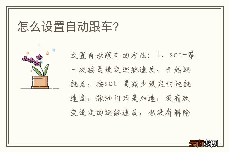 怎么设置自动跟车?
