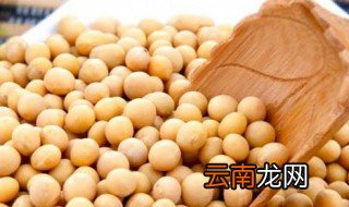 如何做麻辣黄豆 怎么做麻辣黄豆美味可口