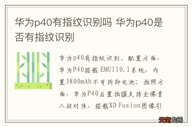华为p40有指纹识别吗 华为p40是否有指纹识别