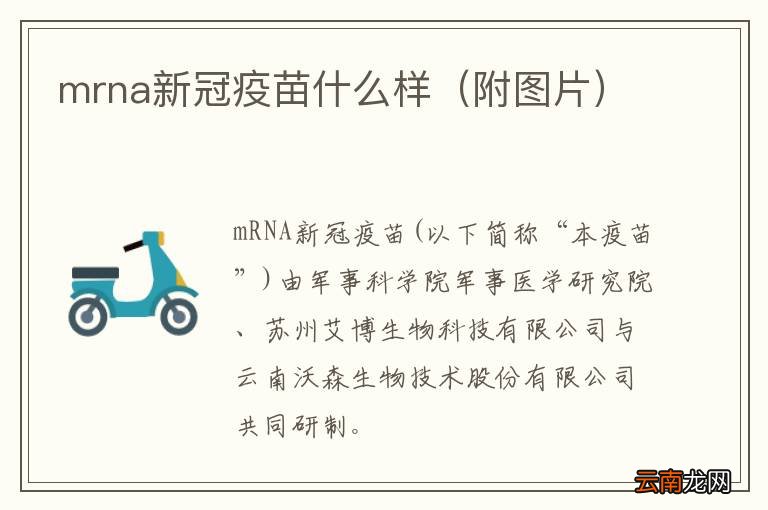附图片 mrna新冠疫苗什么样