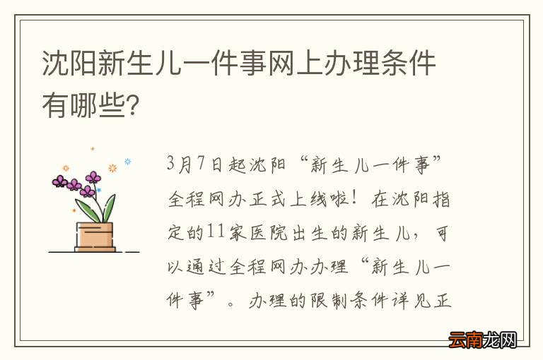 沈阳新生儿一件事网上办理条件有哪些？