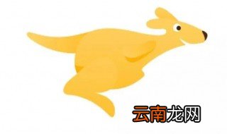美团不处理投诉怎么举报 美团怎么投诉客服