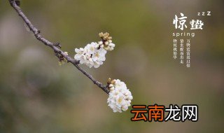 惊蛰如何养生窍门 惊蛰节气养生的方法
