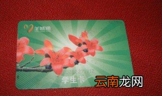 广州羊城通学生卡在什么地方办理 广州羊城通学生卡办理的地点