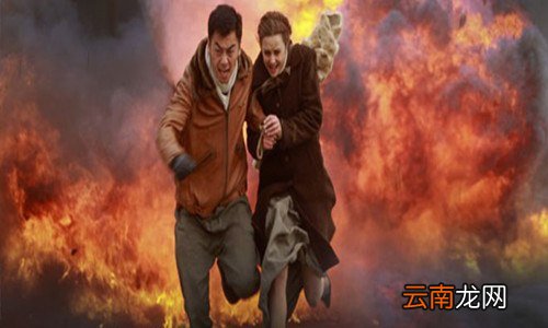 远去的飞鹰葛莉儿找到了吗