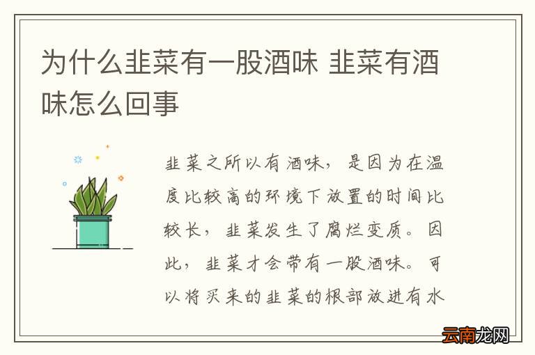 为什么韭菜有一股酒味 韭菜有酒味怎么回事