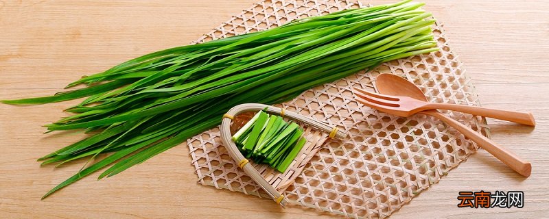 为什么韭菜有一股酒味 韭菜有酒味怎么回事