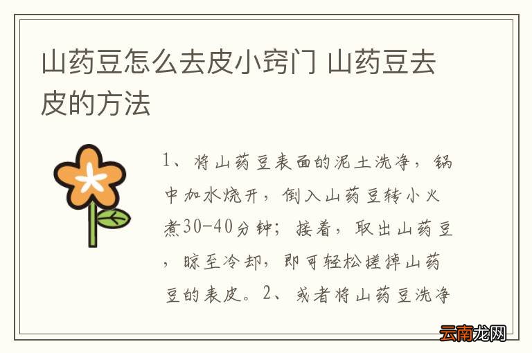 山药豆怎么去皮小窍门 山药豆去皮的方法